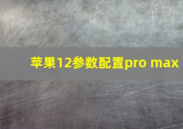 苹果12参数配置pro max